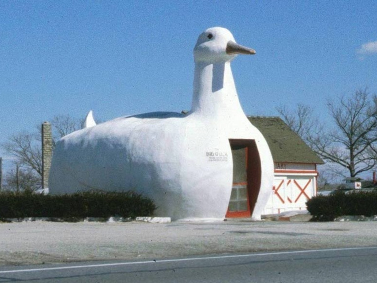11. Architecture of speaking ducks